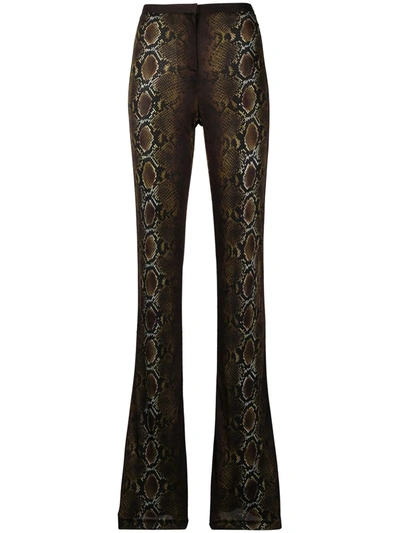 Shop Versace Snakeskin-print Trousers In Brown