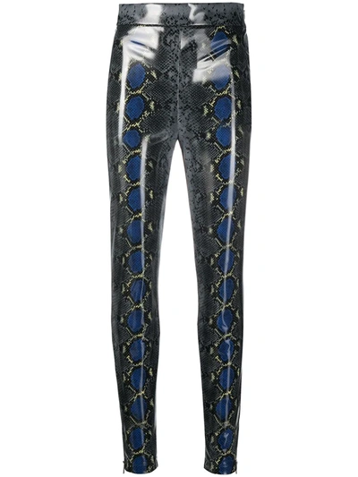 Shop Versace Snakeskin-print High-waist Leggings In Blue