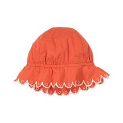 Shop Stella Mccartney Coral Scalloped Anglaise Embroidered Sun Hat In Orange