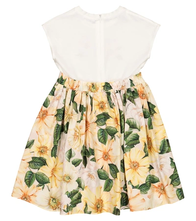 Shop Dolce & Gabbana Floral Cotton Dress In Yellow