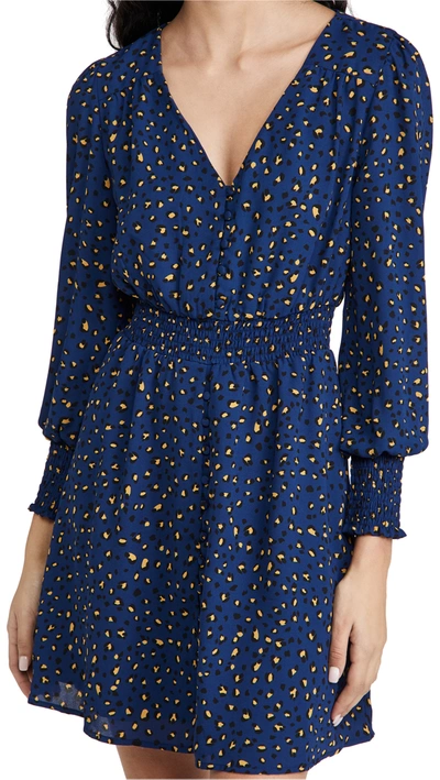 Shop Bb Dakota Cheetah Pray Love Dress In Midnight