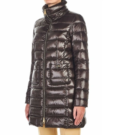 Shop Herno Women's Brown Down Jacket