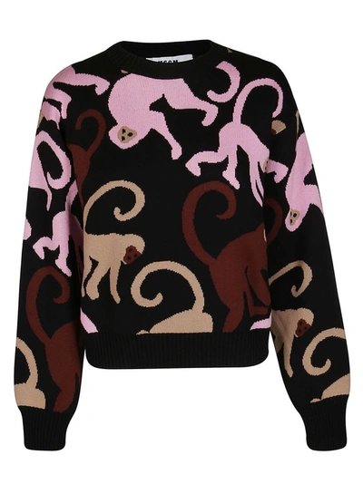 Shop Msgm Women's Black Cotton Sweater