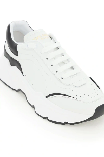 Shop Dolce & Gabbana Daymaster Leather Sneakers In White/black