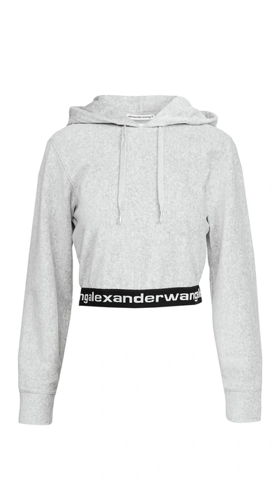Shop Alexander Wang T Stretch Corduroy Cropped Hoodie With Logo Elastic In Heather Grey
