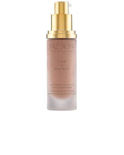 Shop Mz Skin Tint & Protect Skin Perfecting Spf 30 Tinted Moisturizer In N,a