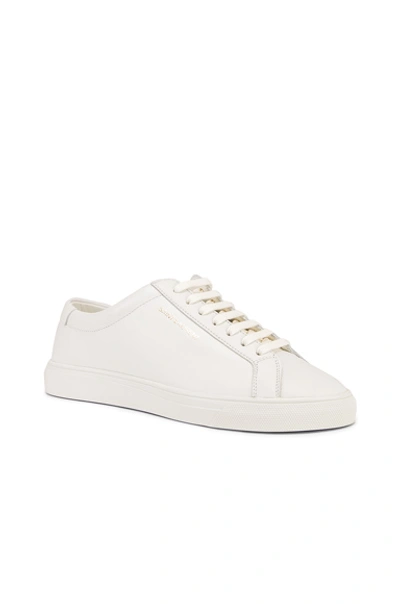 Saint Laurent Andy Low-top Leather Sneakers In White
