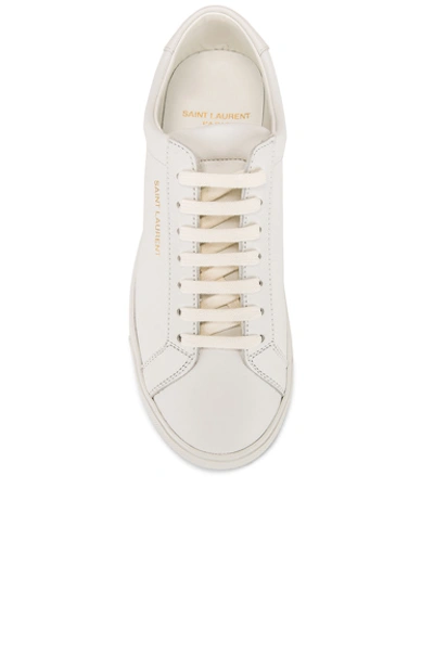 Shop Saint Laurent Andy Sneaker In White