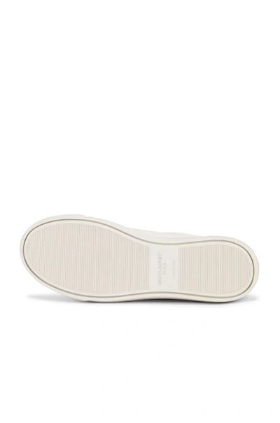 Saint Laurent Andy Low-top Leather Sneakers In White