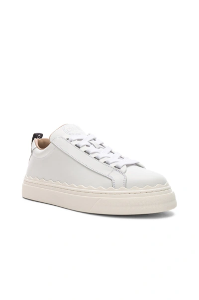 Shop Chloé Lauren Low Top Sneakers