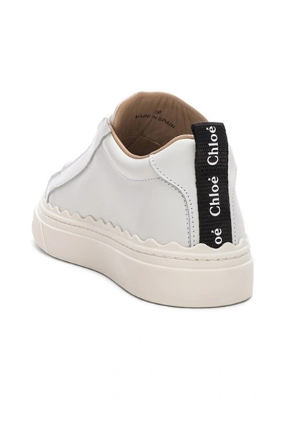 Shop Chloé Lauren Low Top Sneakers