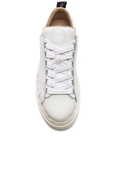 Shop Chloé Lauren Low Top Sneakers