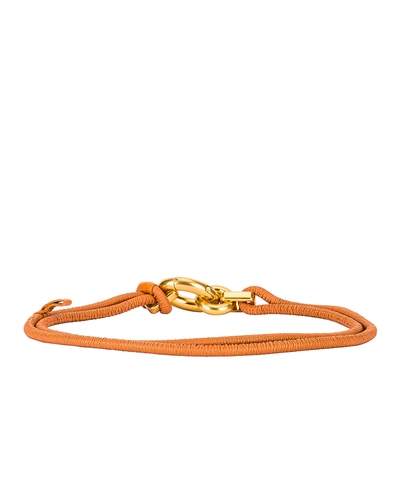 Shop Bottega Veneta Skinny Belt In Clay & Gold