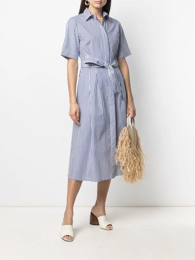 Shop P.a.r.o.s.h Striped Cotton Dress In Blue