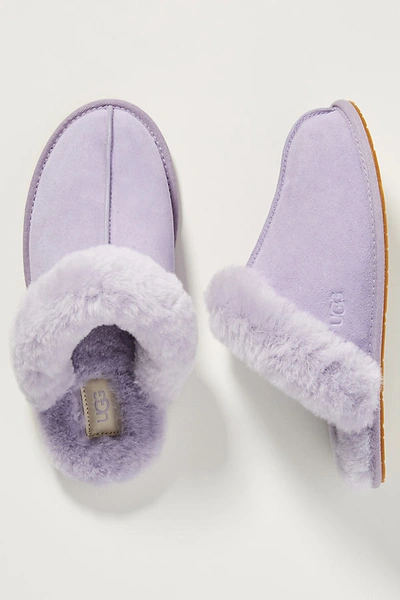 Shop Ugg Scuffette Ii Slippers In Purple