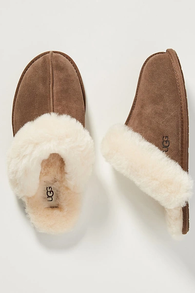 Ugg Scuffette Ii Slippers In Brown