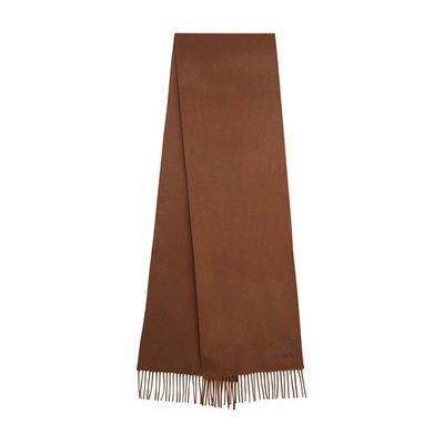 Shop Max Mara Dalia Scarf In Caramello