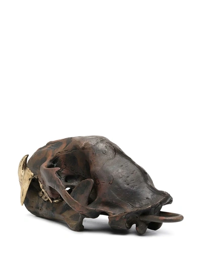 Shop Parts Of Four Leopard Skull Replica In Brown