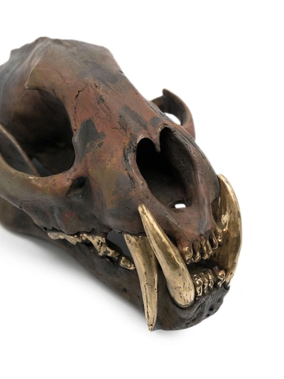 Shop Parts Of Four Leopard Skull Replica In Brown