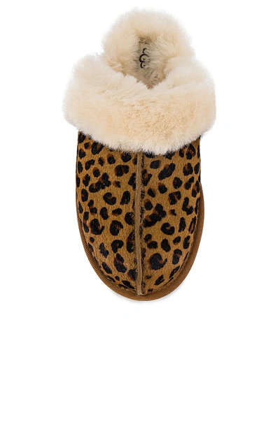 Shop Ugg Scuffette Ii Leopard Slipper In Natural