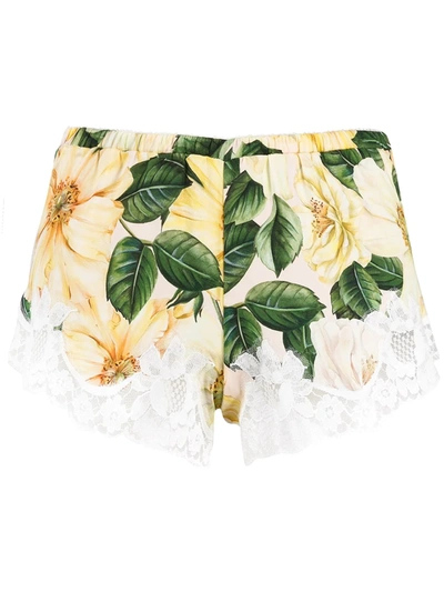 Shop Dolce & Gabbana Camellia-print Lace Detail Shorts In Neutrals