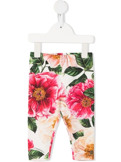 Shop Dolce & Gabbana Camellia Flower Print Leggings In White