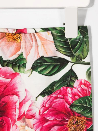 Shop Dolce & Gabbana Camellia Flower Print Leggings In White