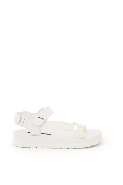 Shop Prada Nomad Logo Sandals In Bianco (white)