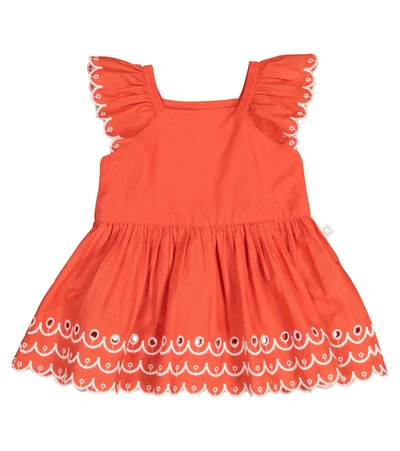 Shop Stella Mccartney Baby Cotton Dress And Bloomers In Orange
