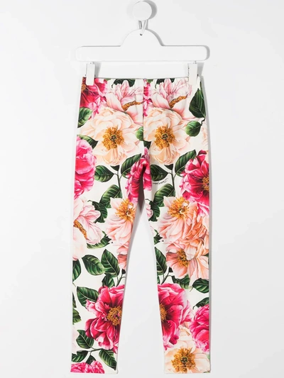 Shop Dolce & Gabbana Floral-print Cotton Leggings In Pink