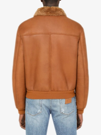 Shop Dolce & Gabbana Shearling Lined Bomber Jacket In Brown