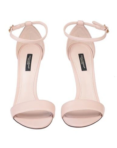 Shop Dolce & Gabbana Woman Sandals Pink Size 9.5 Lambskin
