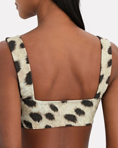 Shop Weworewhat Leopard Bandeau Bra Top In Ivory/black