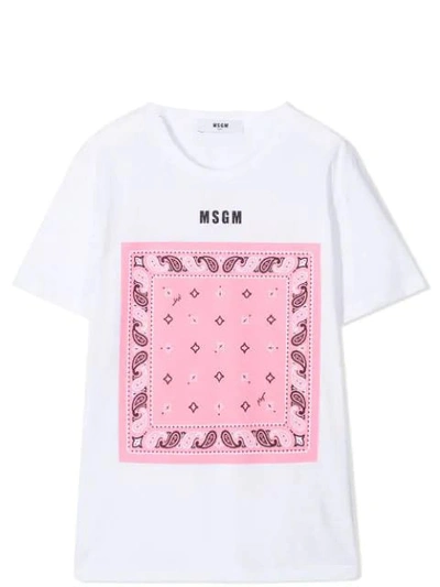 Shop Msgm Graphic Print Cotton T-shirt In Bianco-rosa
