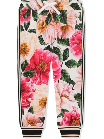 Shop Dolce & Gabbana Floral-print Track Pants In Pink