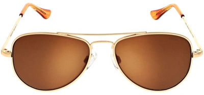 Shop Randolph Engineering Randolph Concorde Sunglasses In Skytec™ American Tan