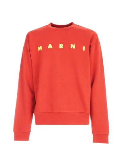 Shop Marni Logo Classic Sweatshirt In Raspberry