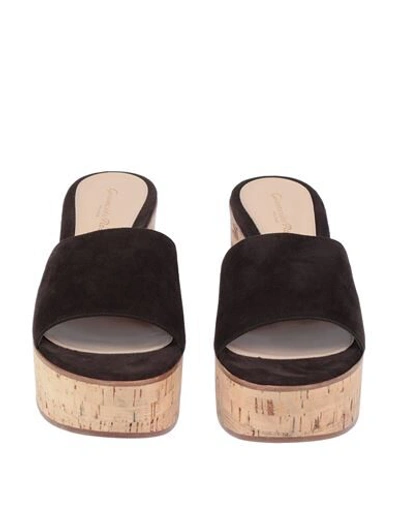 Shop Gianvito Rossi Sandals In Dark Brown
