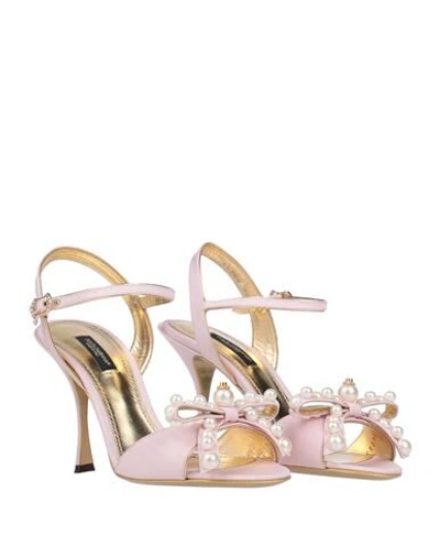 Shop Dolce & Gabbana Woman Sandals Pink Size 5.5 Soft Leather, Textile Fibers