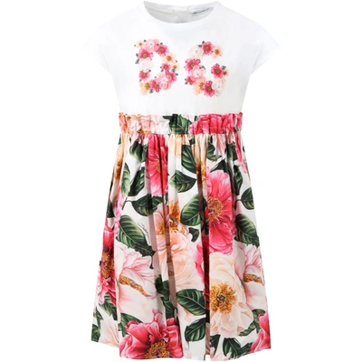 Shop Dolce & Gabbana Multicolor Dress For Girl With Camellias