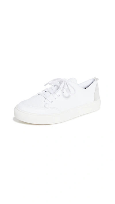 Shop Kaanas Paris Lace Up Sneakers In White