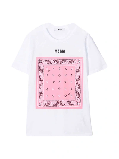 Shop Msgm White Teen T-shirt In Bianco/rosa