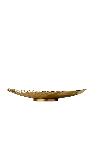 Aytm Concha Dish In Gold