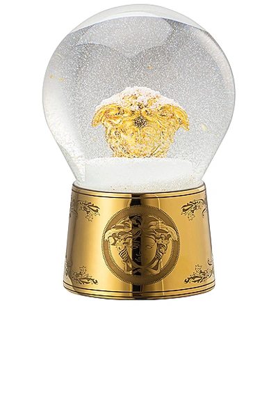 Shop Versace Golden Medusa Snow Globe