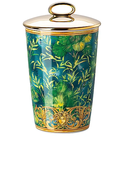 Shop Versace Jungle Votive With Lid & Fragrance In Green