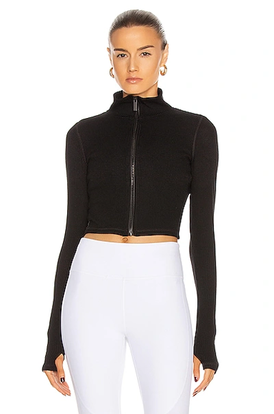 Shop Alala Rise Zip Up Jacket In Black