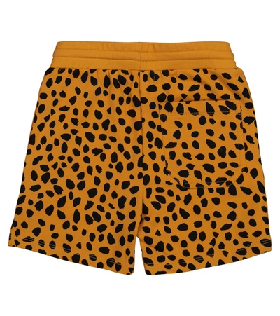 Shop Stella Mccartney Cheetah-print Cotton Shorts In Orange