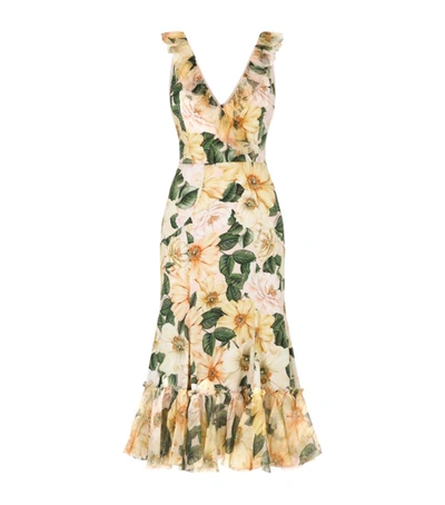 Shop Dolce & Gabbana Floral Midi Dress