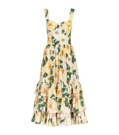 Shop Dolce & Gabbana Cotton Camellia Midi Dress