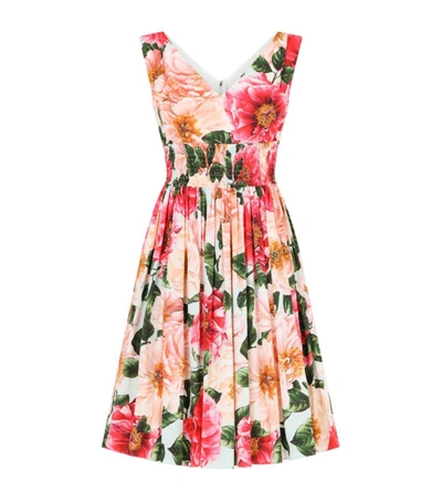 Shop Dolce & Gabbana Cotton Camellia Mini Dress
